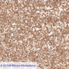 Cell Line D: Anti-ALK ALK01 Mouse Monoclonal